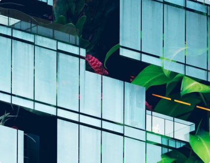 迪拜菲度房地產